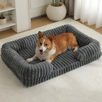 Corgi tumbado en la Cama Sofá Nube gris