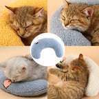 Gatos durmiendo sobre la Almohada Luna