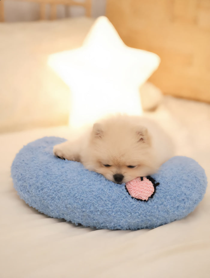 Cachorro de pomerania durmiendo en la Almohada Luna azul junto a una lucecita de estrella (imagen creada con IA)