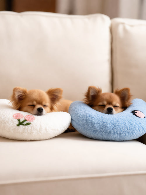 Dos cachorros de chihuahua, cada uno con su Almohada Luna (imagen creada con IA)