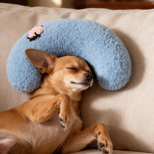 Chihuahua durmiendo boca arriba con la cabeza en la Almohada Luna azul (imagen creada con IA)
