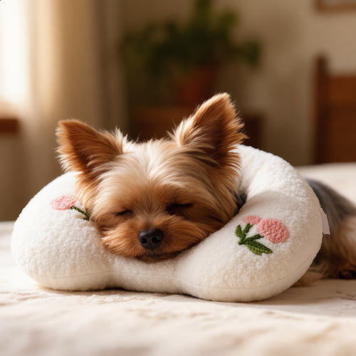 Yorkshire durmiendo sobre la Almohada Luna blanca