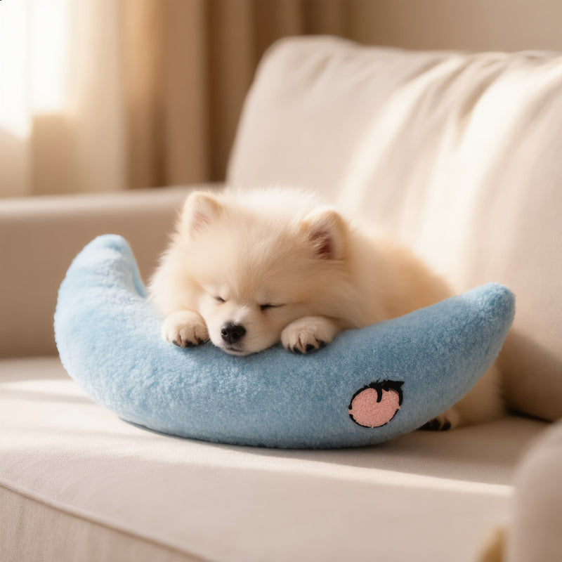 Cachorro de pomerania durmiendo en la Almohada Luna azul (imagen creada con IA)